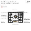 ILVE UHCPT75NSSG infographic