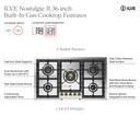ILVE UHCPT95NSSG infographic